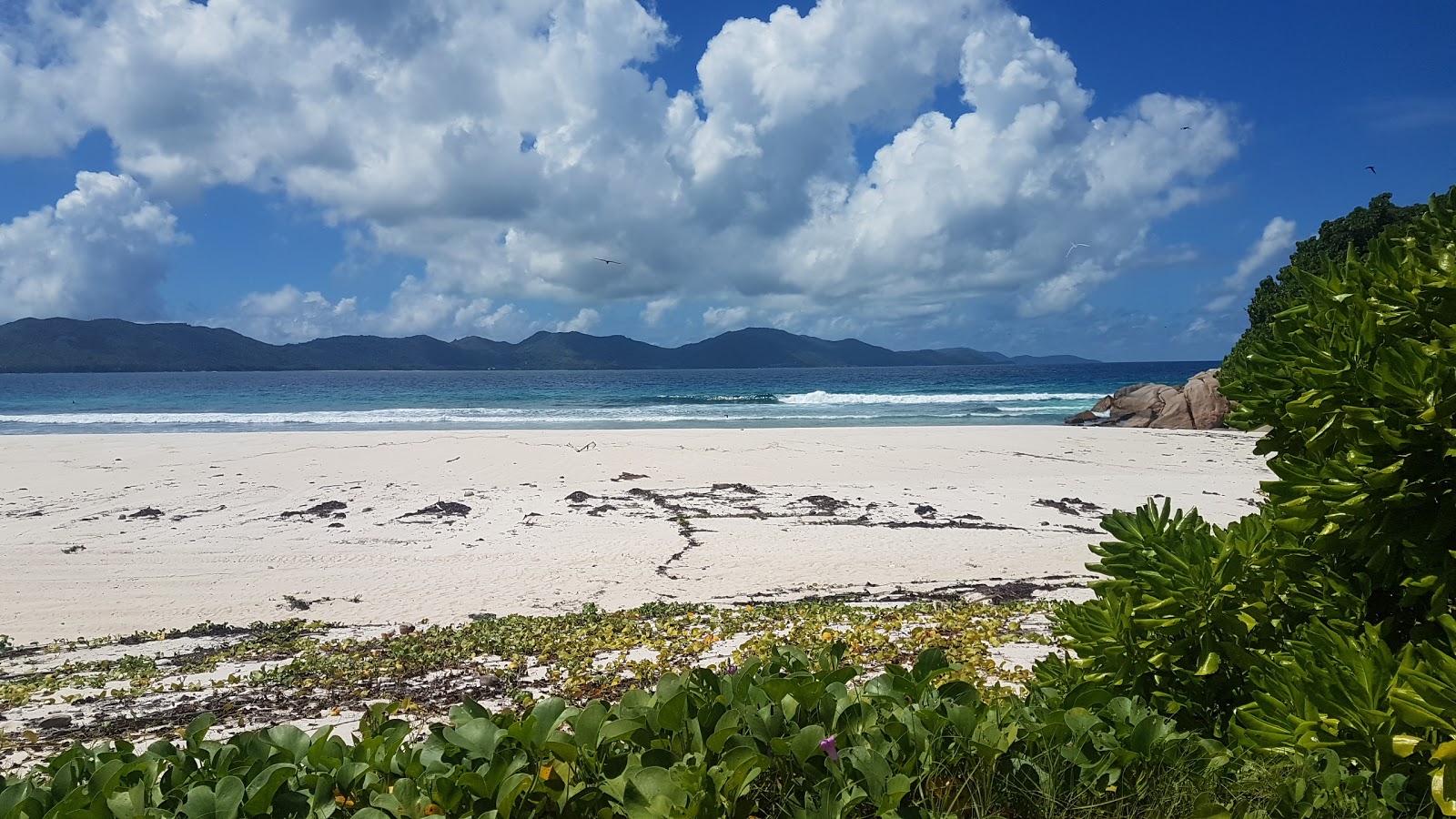 Photo of Cousine Island Beach with turquoise pure water surface