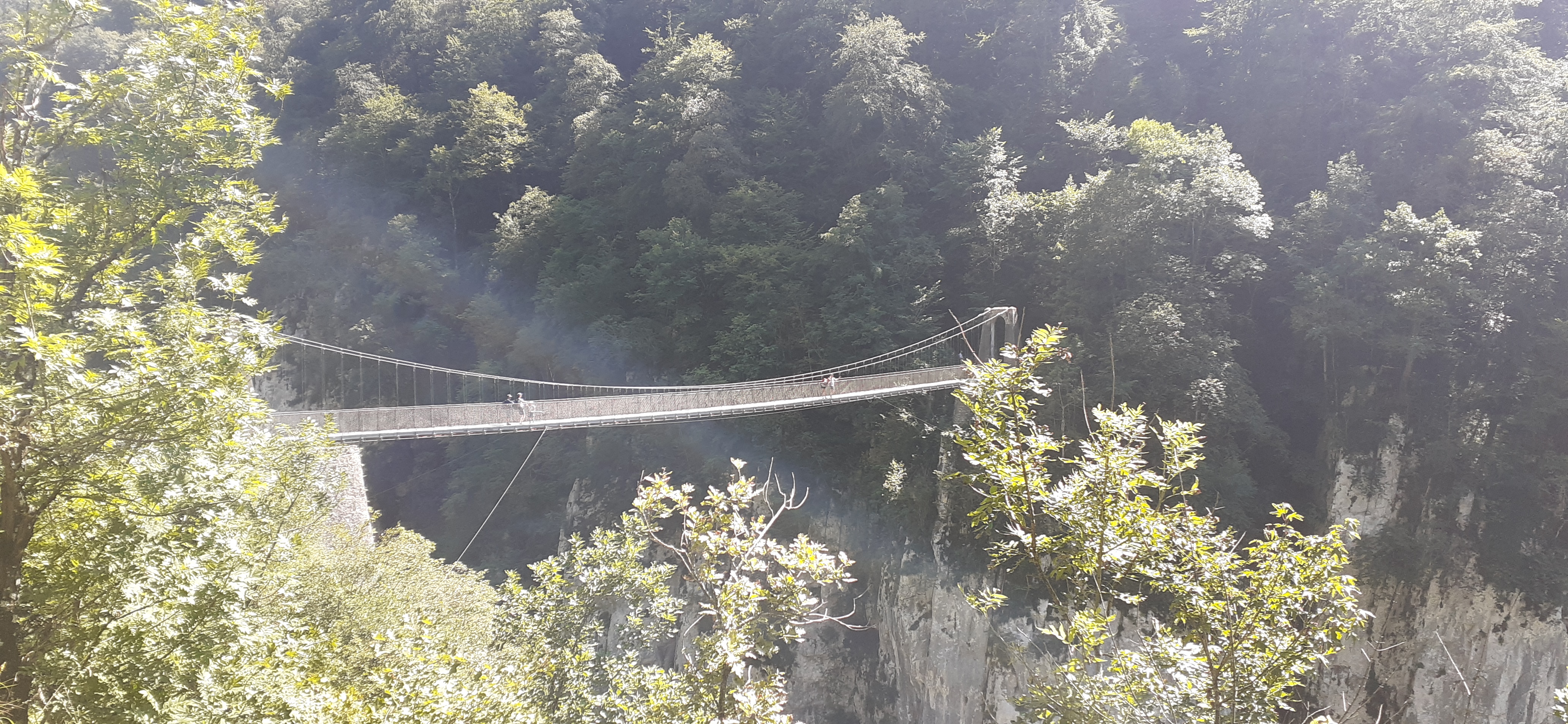 Photo n° 2 de l'avis de Antony.o fait le 19/08/2023 à 13:38