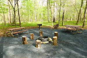 Marsden Tract Group Campground image