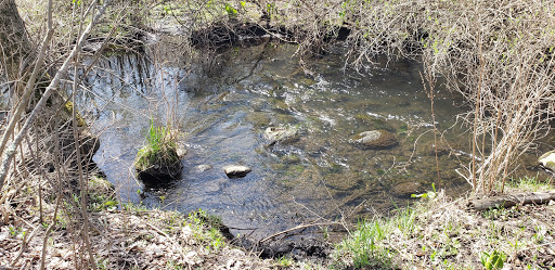 Nature Preserve «Jackson Bog State Nature Preserve», reviews and photos, 7984 Fulton Dr NW, Massillon, OH 44646, USA