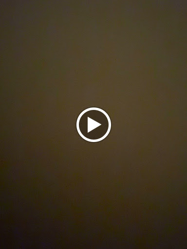 Tobacco Shop «1 Stop Smoke Shop», reviews and photos, 10821 N 56th St, Temple Terrace, FL 33617, USA