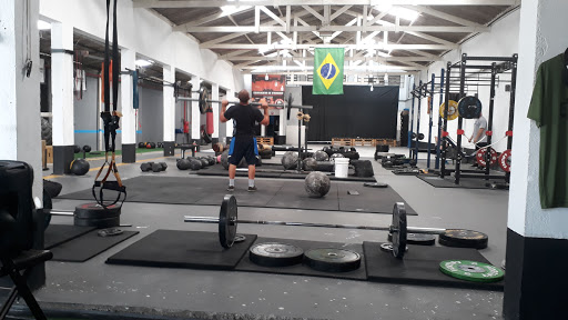 Logo da empresa - SFALL STRENGTH