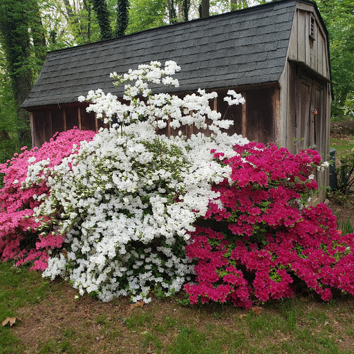 Lurgan Greenhouse in Orrstown, Pennsylvania Zaubee