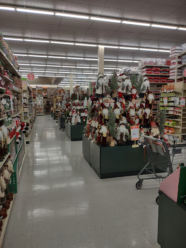 Craft Store «Hobby Lobby», reviews and photos, 200 FL-312, St Augustine, FL 32086, USA