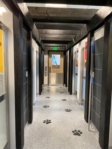 Insight Veterinary Wellness Center image