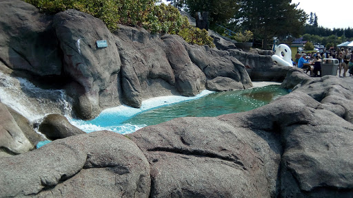 Amusement Park «Wild Waves Theme & Water Park», reviews and photos, 36201 Enchanted Pkwy S, Federal Way, WA 98003, USA