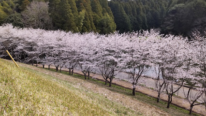 和泉ヶ池