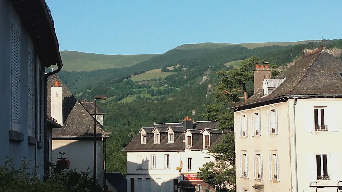 Pizzeria Aux Volcans à Thiézac