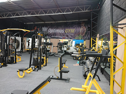 Optimus GYM Life & Fitness - Av Playa Sur 128, La Playa, 72495 Puebla, Pue., Mexico