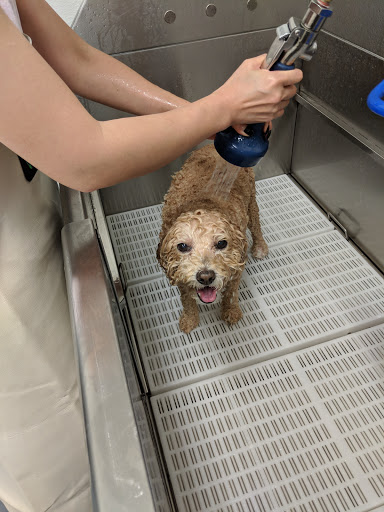 Pet Supply Store «Centinela Feed & Pet Supplies», reviews and photos, 11055 W Pico Blvd, Los Angeles, CA 90064, USA