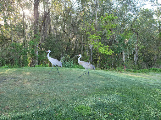Golf Course «Cypress Creek Golf Club», reviews and photos, 1011 Cypress Village Blvd, Sun City Center, FL 33573, USA