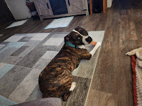 Bark 'n' Roll - Photo 2 - Car repair in Green Bay, WI, Green Bay