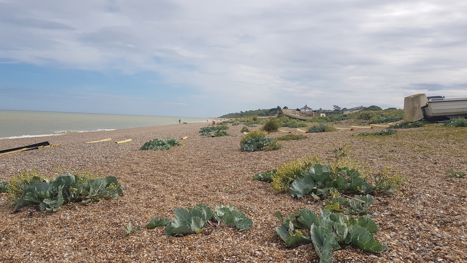 Foto av Sizewell Beach - populär plats bland avkopplingskännare