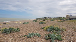 Sizewell Beach'in fotoğrafı - rahatlamayı sevenler arasında popüler bir yer