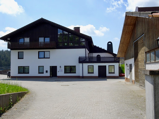 Peter Beer Tierarzt Pferdepraxis unter Rehau, Bayern