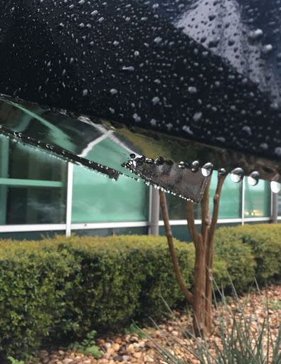 Community Center «Rowlett Community Center», reviews and photos, 5300 Main St, Rowlett, TX 75088, USA