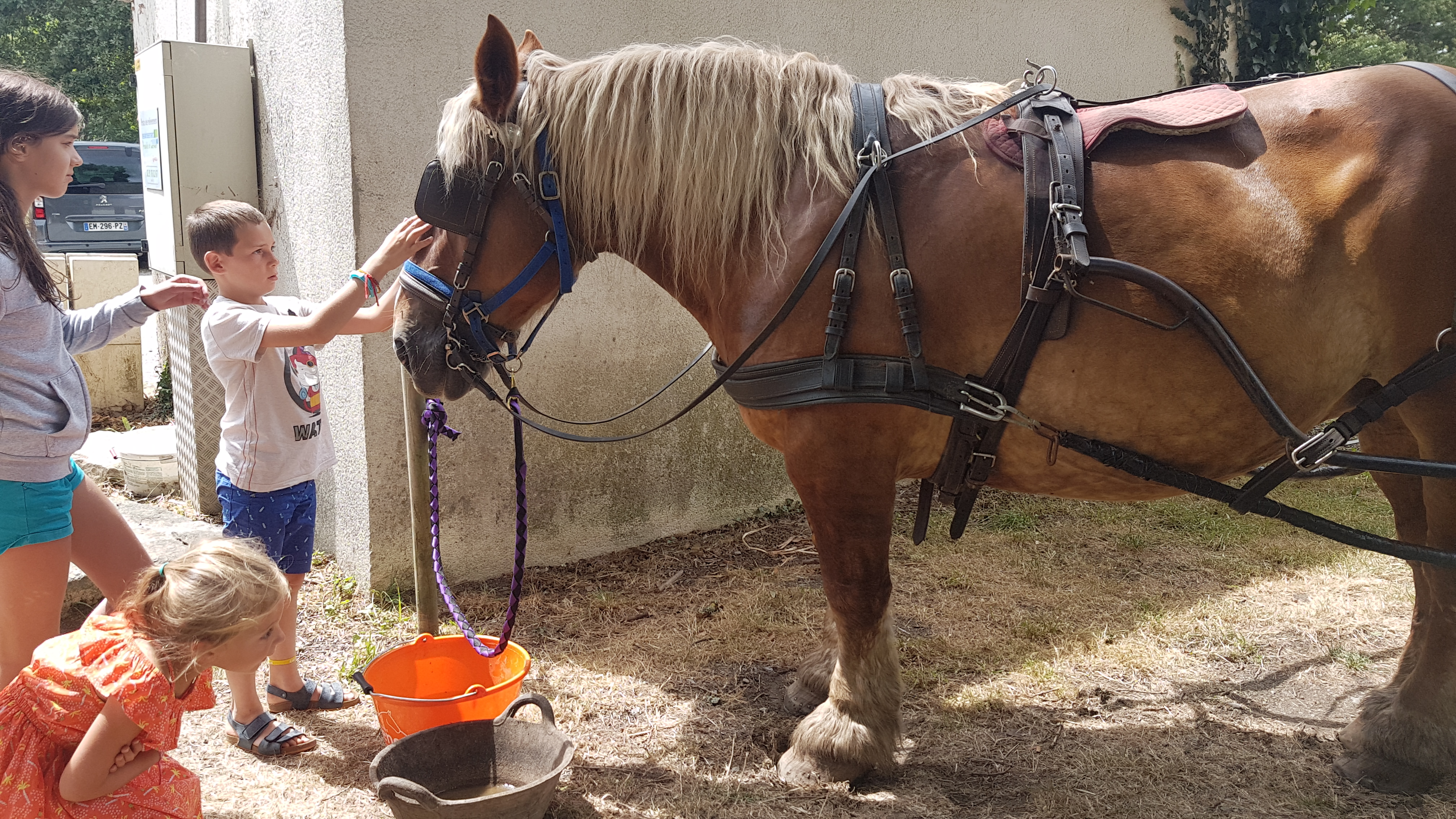 Photo n° 6 de l'avis de Elodie.o fait le 31/07/2019 à 16:53