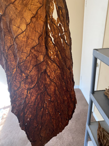 Tobacco Shop «Leaf Only», reviews and photos, 440 Middlefield St, Middletown, CT 06457, USA