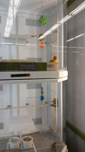 Pet Supply Store «Petco Animal Supplies», reviews and photos, 205 Washington St #11, Hudson, MA 01749, USA