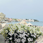 Photo n°5 de l'avis de Nuage.o fait le 16/04/2024 à 13:07 sur le  ‘a Paranza Sea Restaurant à Ischia