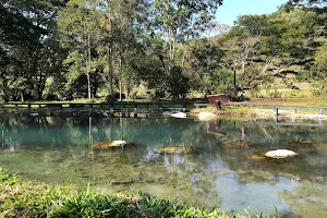 Lam Nam Kok National Park image