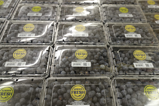 Grocery Store «Food Lion», reviews and photos, 936 Richards Rd, Antioch, TN 37013, USA