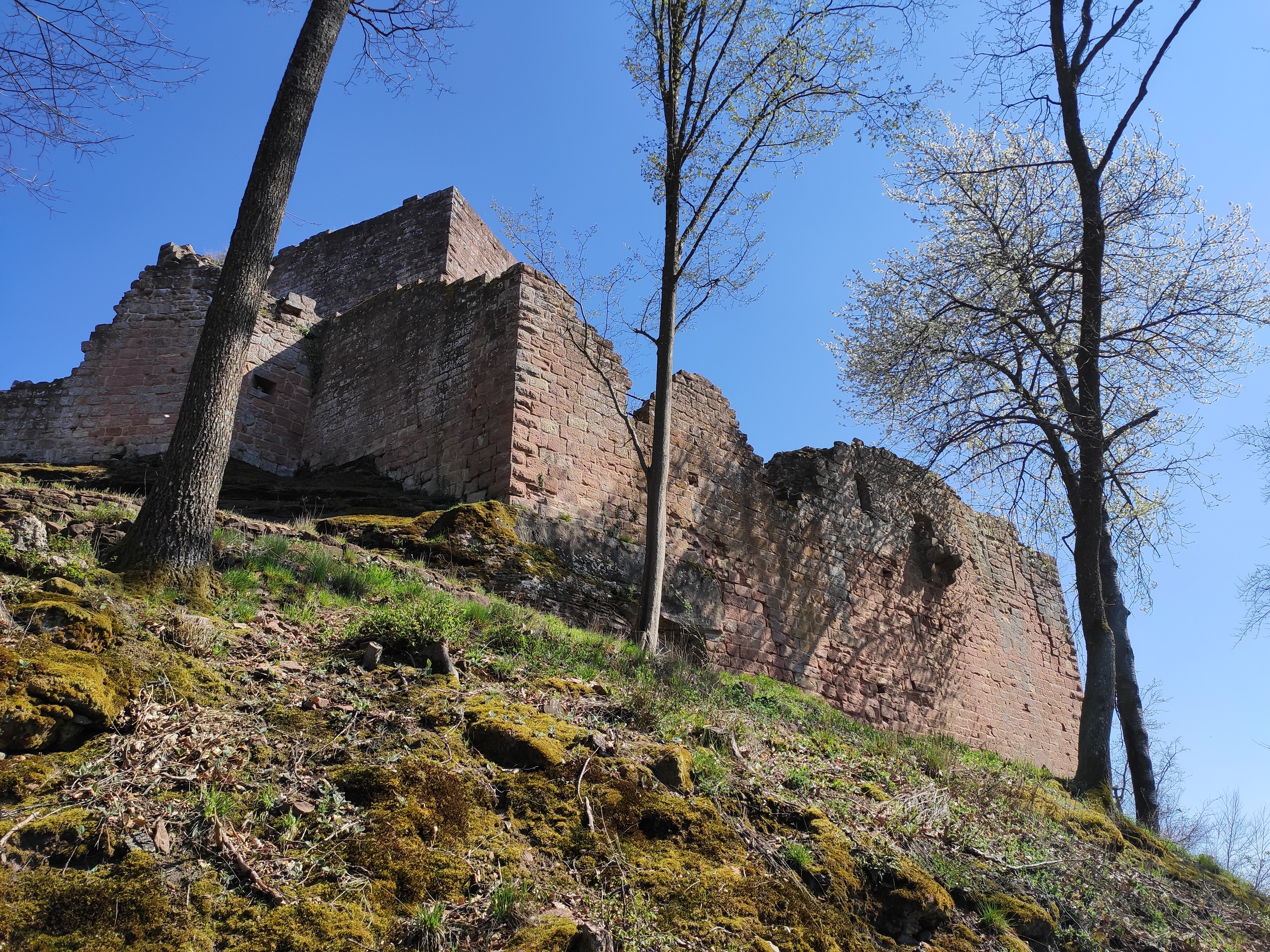 Photo n° 9 de l'avis de Daniele.h fait le 08/04/2021 à 13:30