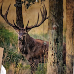 Photo n°5 de l'avis de Howie.K fait le 04/10/2023 à 10:25 sur le  Restaurant Hirsch Isny à Isny im Allgäu