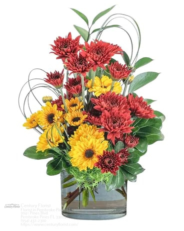 Florist «Century Florist», reviews and photos, 9941 Pines Blvd, Hollywood, FL 33025, USA