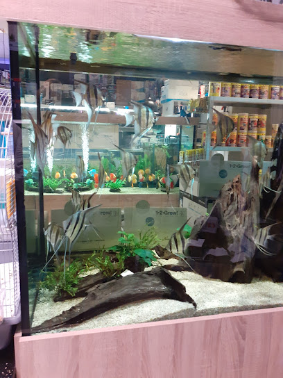 Tropical fish pet store Midland Aquatic Solutions