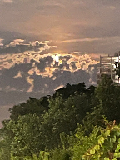 Eye Care Center «Bensonhurst Family Vision», reviews and photos, 2142 86th St, Brooklyn, NY 11214, USA