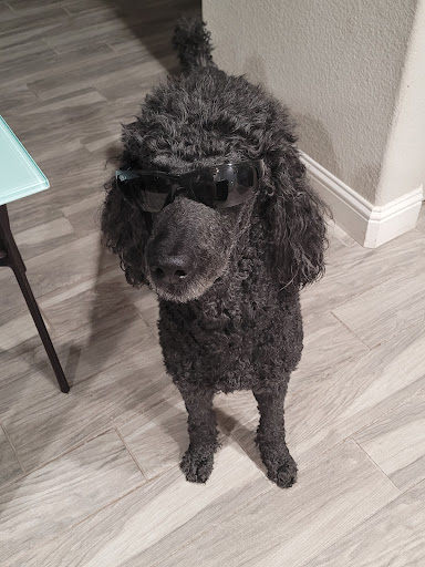 Barber Shop «American Barber Shop», reviews and photos, 813 Sutter St, Folsom, CA 95630, USA