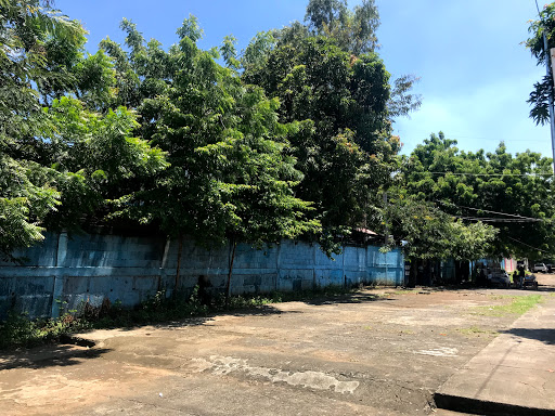 Escuelas de homeopatia en Managua