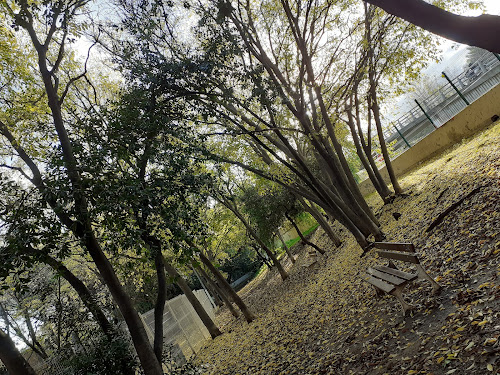 Parc des Cèdres à Toulon