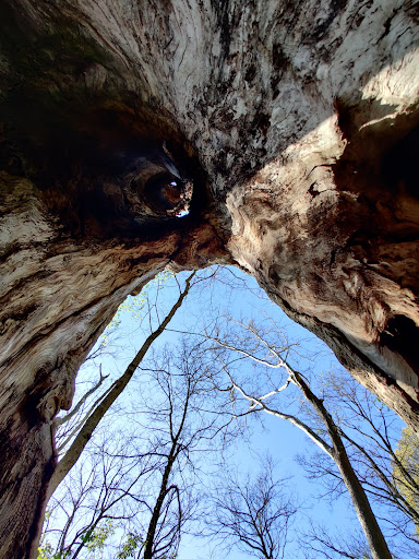 Nature Preserve «Sweet Arrow Reserve», reviews and photos, 789 Little Sugarcreek Rd, Sugarcreek Township, OH 45440, USA