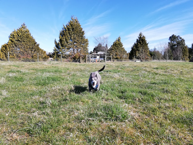 Reviews of Methven Dog Park in Methven - Other
