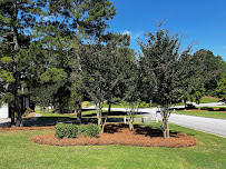 East Pro Landscapes - Photo 1 - Car repair in , Athens