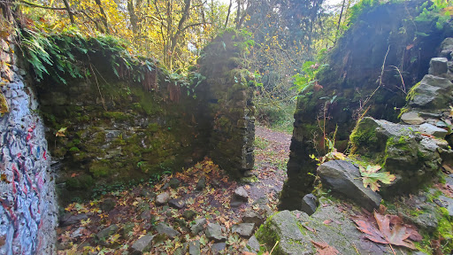 Tourist Attraction «Melmont ghost town», reviews and photos, Carbon River Rd, Carbonado, WA 98323, USA