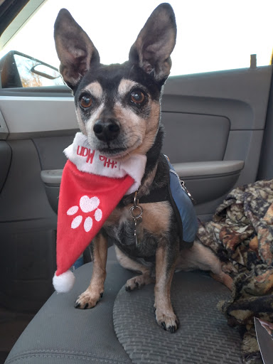 Pet Supply Store «PetSmart», reviews and photos, 1600 N Jackson St #310, Tullahoma, TN 37388, USA