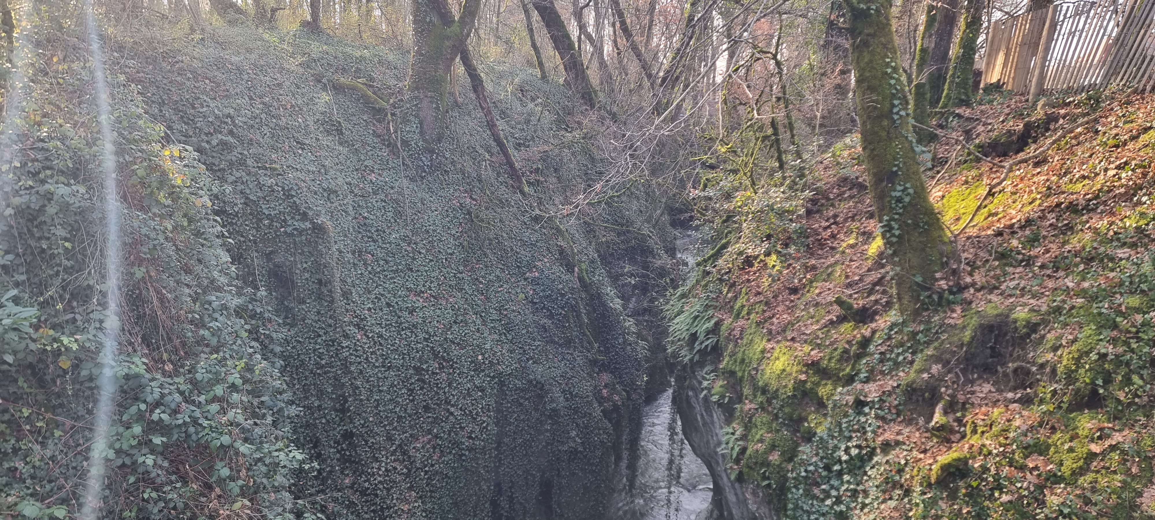 Photo n° 1 de l'avis de Hugues. fait le 21/12/2022 à 12:16