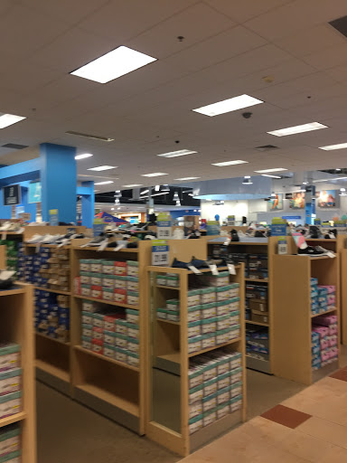 Department Store «Bealls Department Store», reviews and photos, 360 Cbl Dr, St Augustine, FL 32086, USA