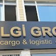 Bilgi Grupo Kargo Logistic