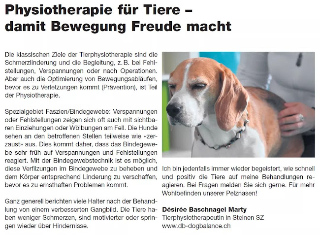 db-dogbalance tierphysiotherapie & osteopathie für hunde und kleintiere - Tierarzt