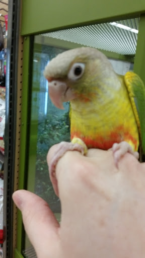 Pet Supply Store «Petco Animal Supplies», reviews and photos, 5631 Grove Blvd, Hoover, AL 35226, USA