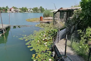 Kavicsos-tó image