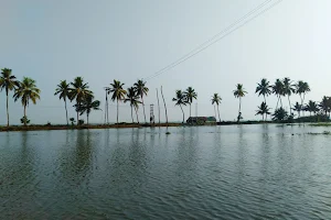 Upper Kuttanad image