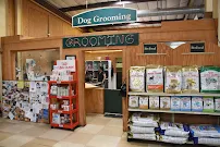 Dales Town and Country - Car repair in Surprise, AZ, Glendale - Rated 4.7/5