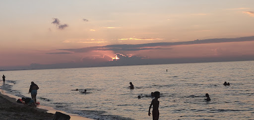 National Park «West Beach - Indiana Dunes National Lakeshore», reviews and photos, Long Lake Trail Loop, Gary, IN 46403, USA