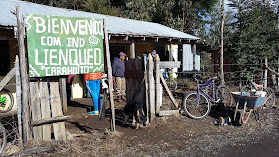 Sede Com. Indigena Lienqueo