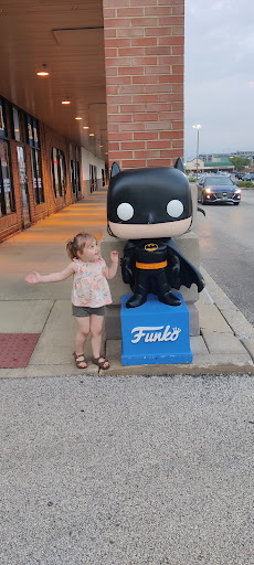 Music Store «Disc Replay», reviews and photos, 1418 Butterfield Rd, Downers Grove, IL 60515, USA